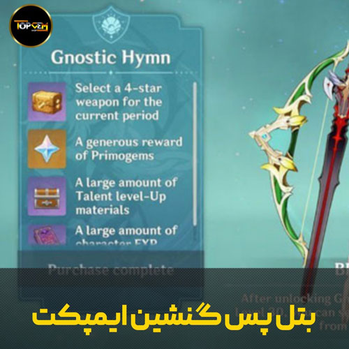 خرید بتل پس گنشین ایمپکت 