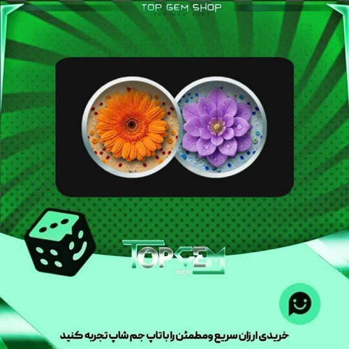 خرید آیتم مهره فوتبال Floral Grace بازی پلاتو
