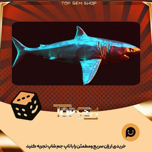 خرید آیتم بنر Glossy Shark بازی پلاتو