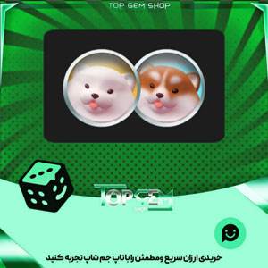 خرید آیتم مهره فوتبال playful pups بازی پلاتو