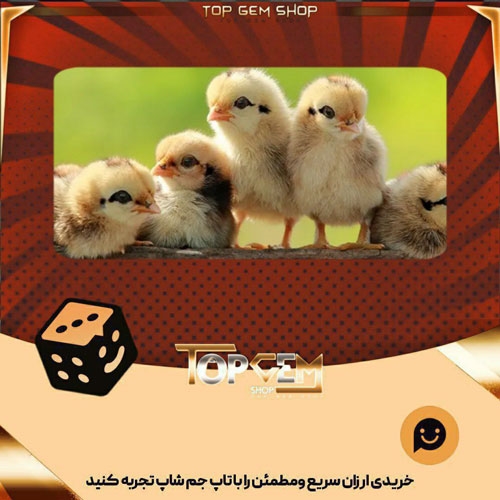 خرید آیتم بنر Tweet Tweet بازی پلاتو