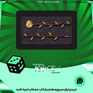 خرید آیتم چوب بیلیارد Golden Rose بازی پلاتو