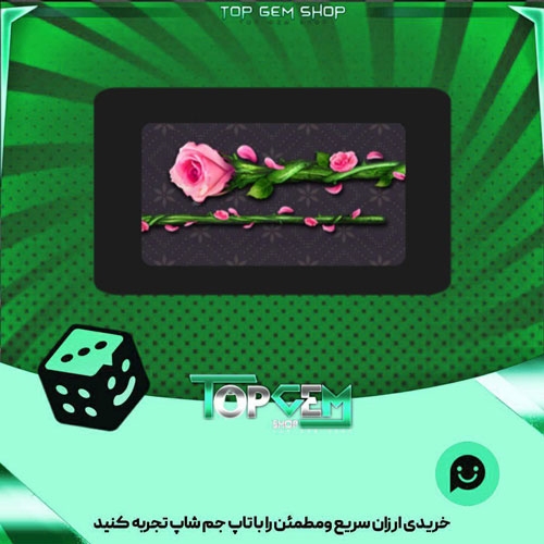 خرید آیتم چوب بیلیارد Pink Rose بازی پلاتو