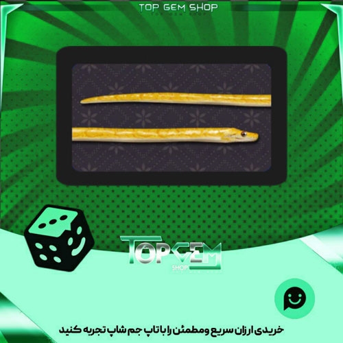 خرید آیتم چوب بیلیارد python بازی پلاتو