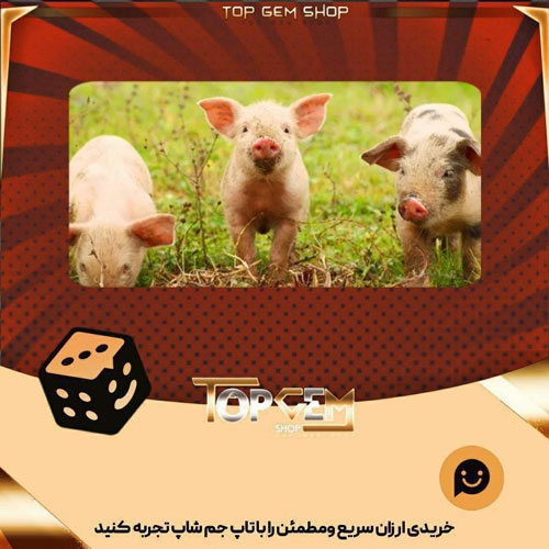 خرید آیتم بنر Little piggies بازی پلاتو