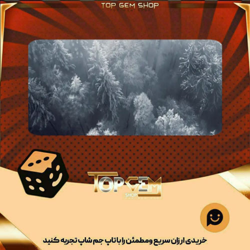 خرید آیتم بنر Taiga بازی پلاتو