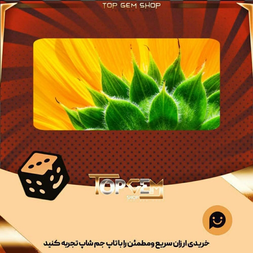 خرید آیتم بنر Sunflower بازی پلاتو