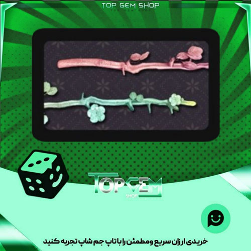 خرید آیتم نشان pastel bloom بازی پلاتو