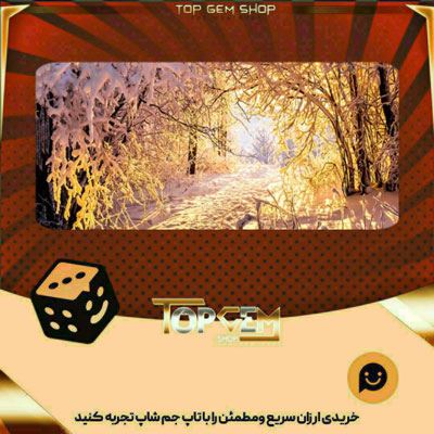 خرید آیتم بنر Arctic Archway بازی پلاتو