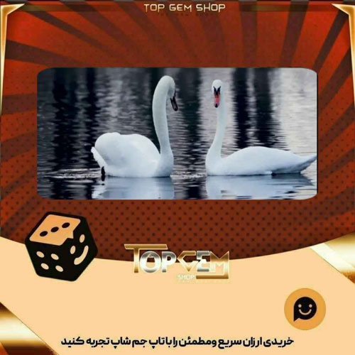 خرید آیتم بنر Feather Together بازی پلاتو