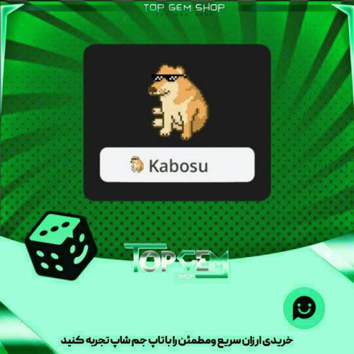 خرید آیتم نشان very dogs بازی پلاتو