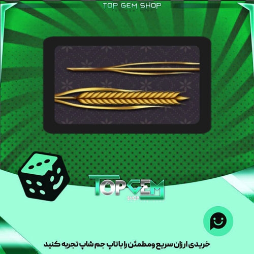 خرید آیتم چوب بیلیارد Wheat-cue بازی پلاتو