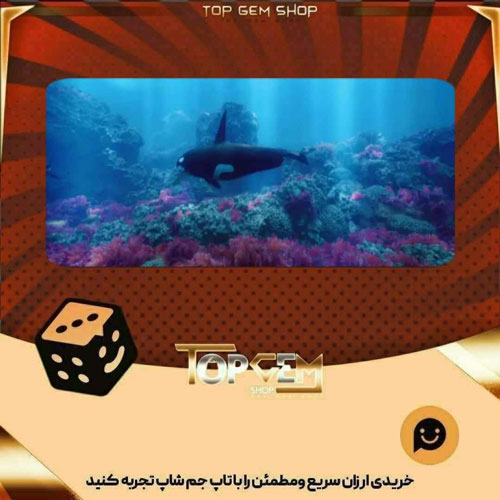 خرید آیتم بنر Whale song بازی پلاتو
