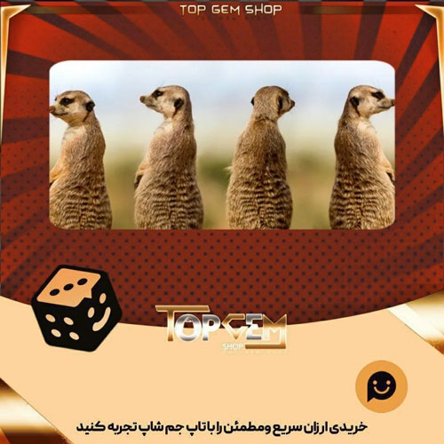 خرید آیتم بنر On the Lookout بازی پلاتو