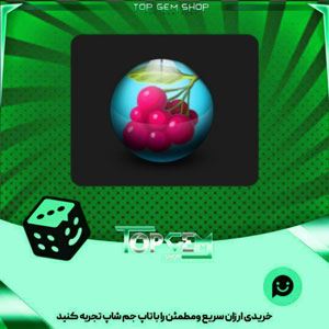 خرید آیتم توپ بولینگ Berry بازی پلاتو