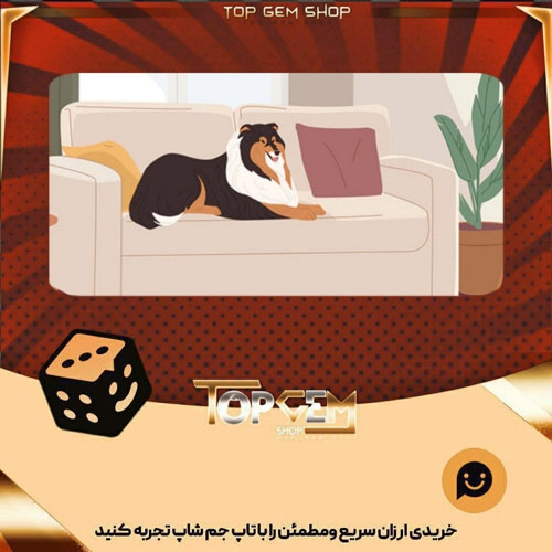 خرید آیتم بنر Couch Pooch بازی پلاتو