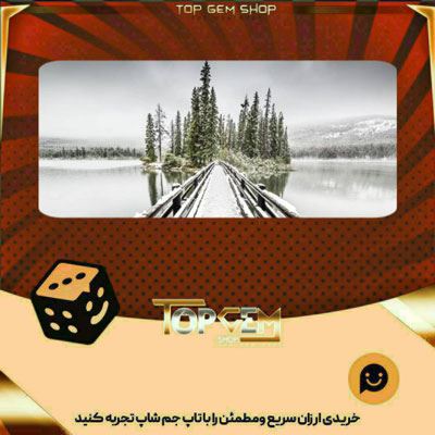 خرید آیتم بنر Snowdrift Bridge بازی پلاتو