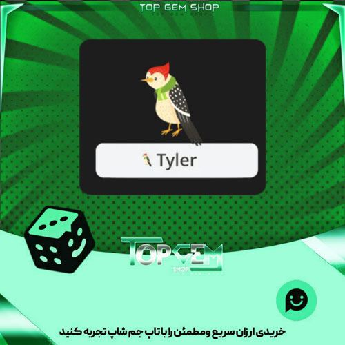 خرید آیتم نشان styler woodpecker بازی پلاتو