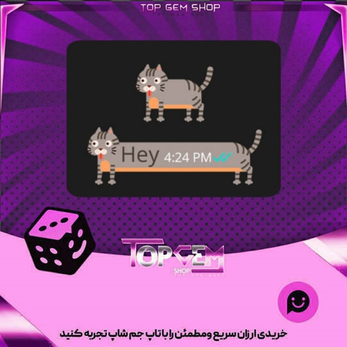 خرید آیتم چت Tabby Catبازی پلاتو