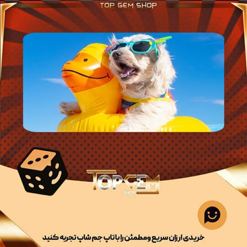 خرید آیتم بنر Happy Summer بازی پلاتو