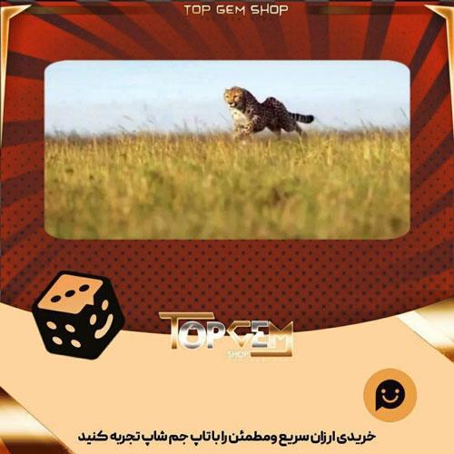 خرید آیتم بنر Fast Times بازی پلاتو