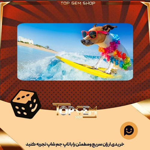 خرید آیتم بنر Ride the Wave بازی پلاتو