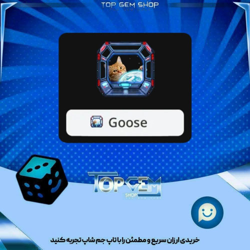 خرید آیتم فریم Viewport بازی پلاتو