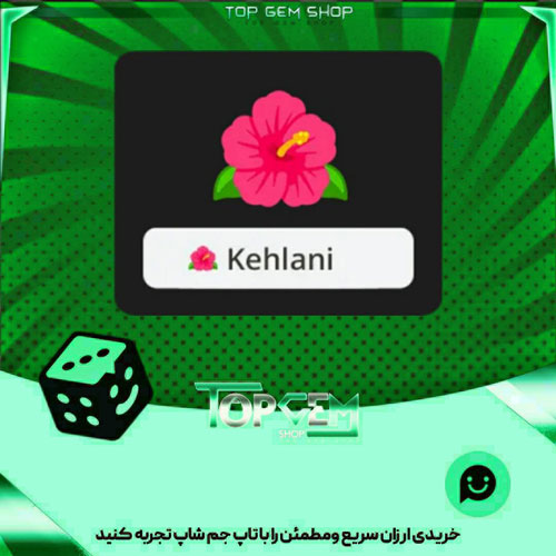 خرید آیتم نشان Hibiscus بازی پلاتو