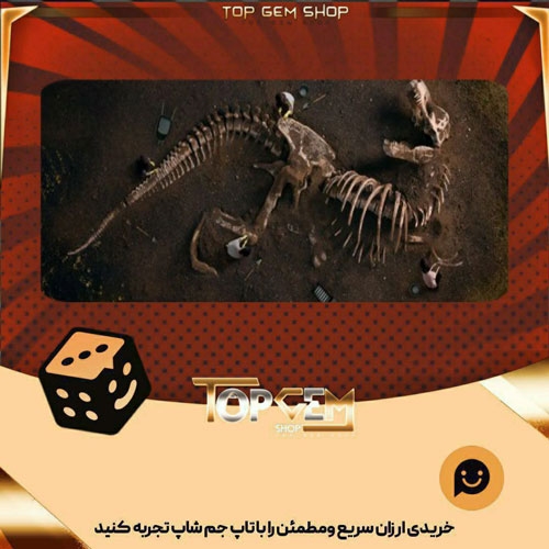 خرید آیتم بنر Fossil Excavation بازی پلاتو