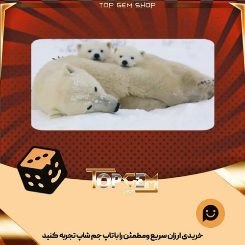 خرید آیتم بنرStay-warm-Together بازی پلاتو