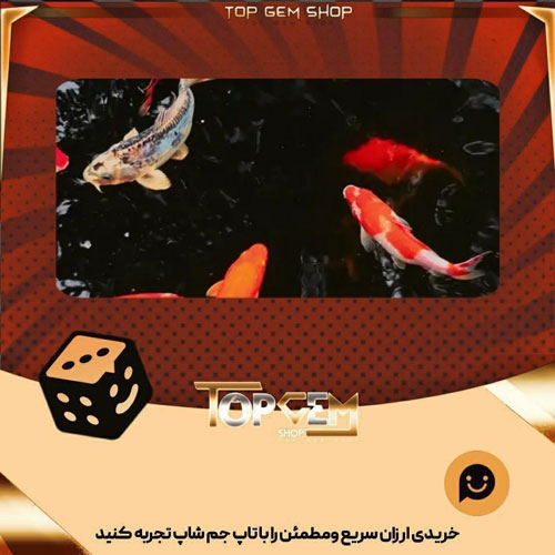 خرید آیتم بنر koi pond بازی پلاتو