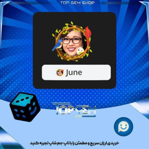 خرید آیتم فریم Birds nest بازی پلاتو