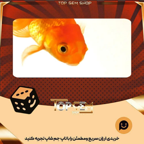 خرید آیتم بنر GOldie بازی پلاتو