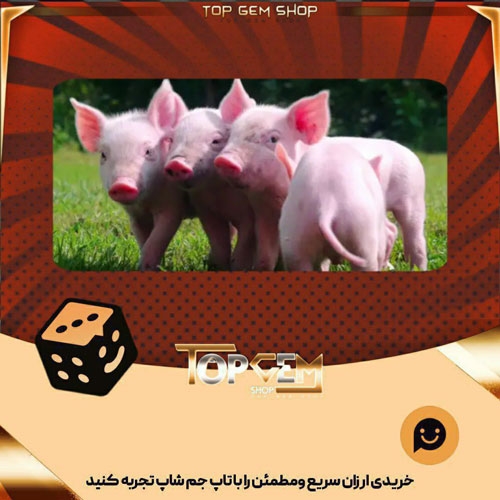 خرید آیتم بنر piglets بازی پلاتو