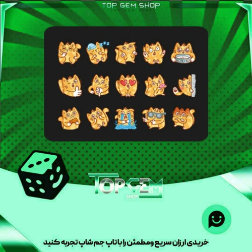 خرید آیتم باندل Ginger cat بازی پلاتو