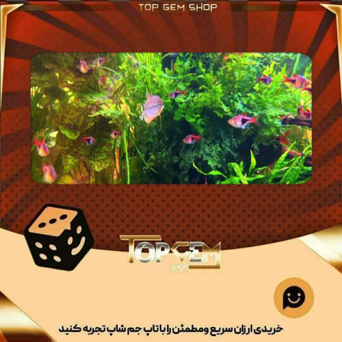 خرید آیتم بنر Curious Encounters بازی پلاتو