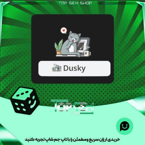 خرید آیتم نشان Laptop cat بازی پلاتو