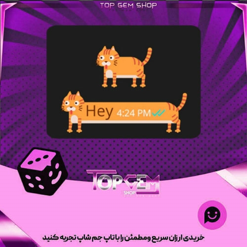 خرید آیتم چت Orange Cat بازی پلاتو
