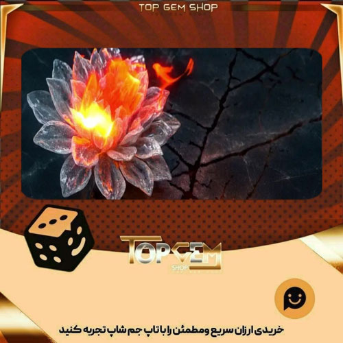 خرید آیتم بنر Glowflower بازی پلاتو