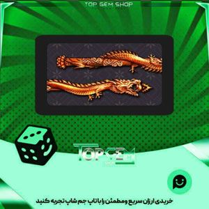 خرید آیتم چوب بیلیارد Wooden Dragon بازی پلاتو